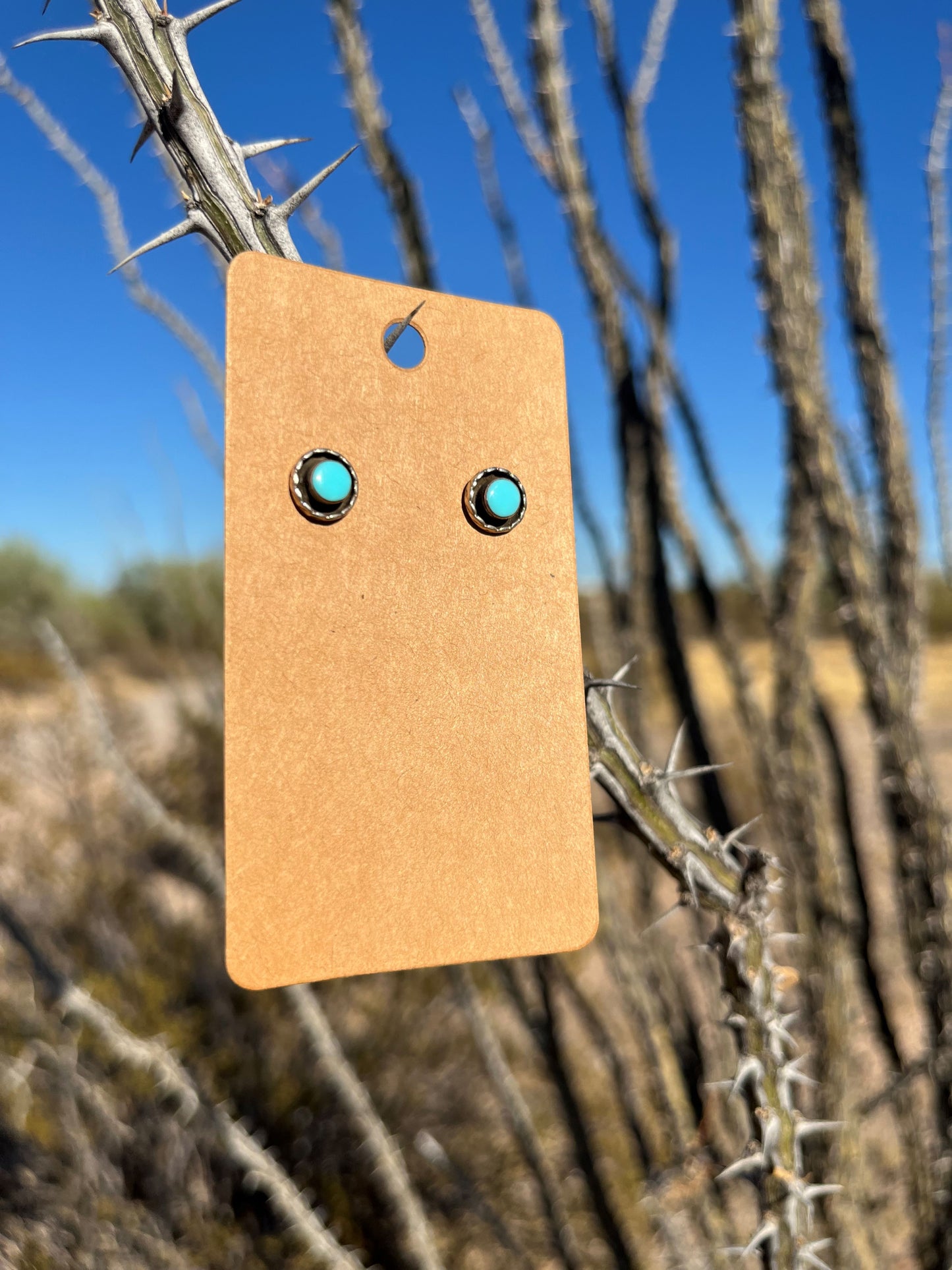 Turquoise Studs