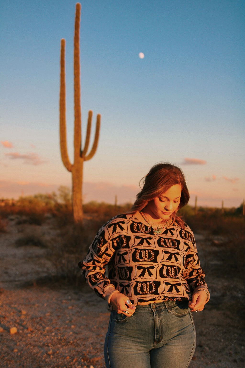 Horseshoes & Bows Sweater