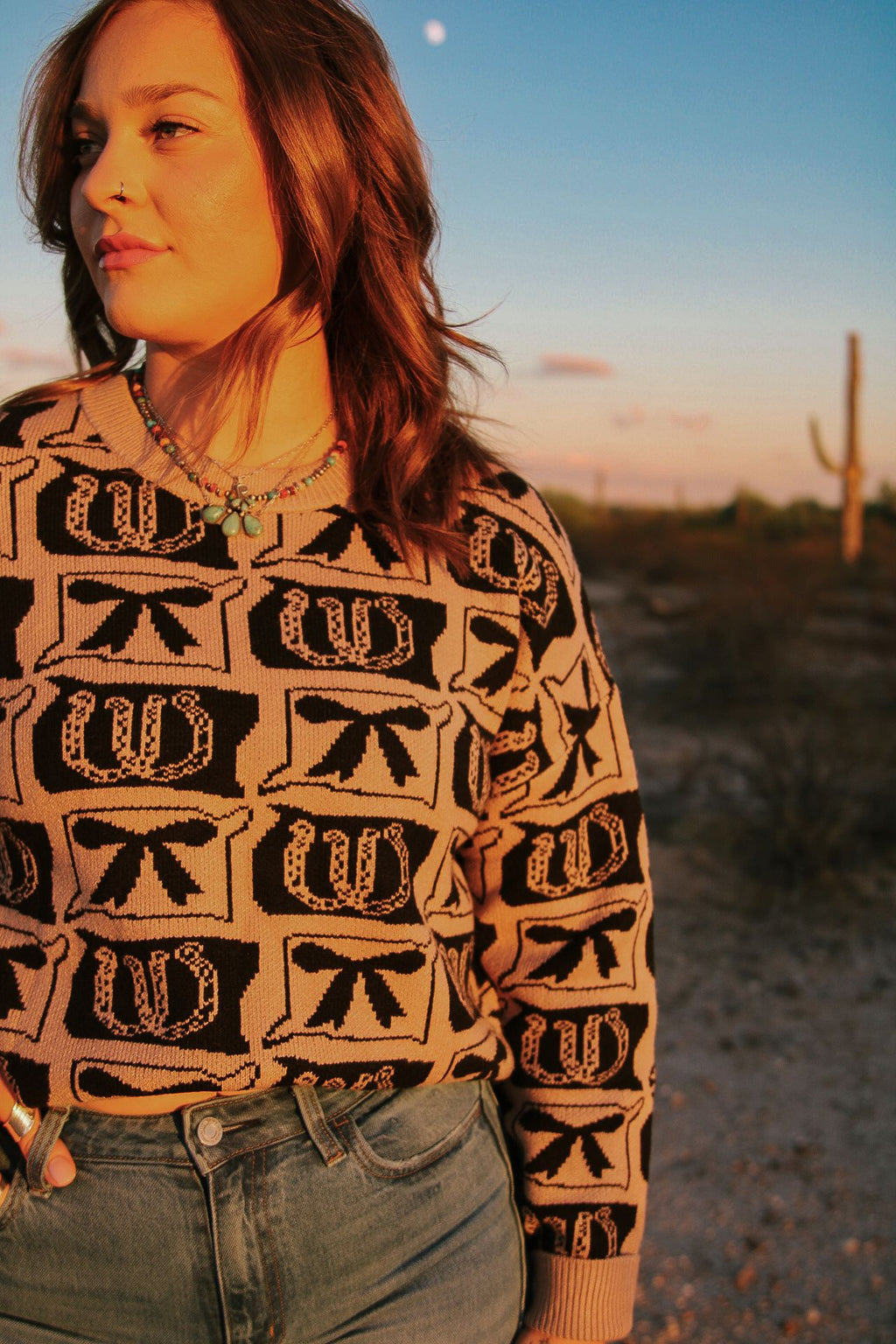 Horseshoes & Bows Sweater