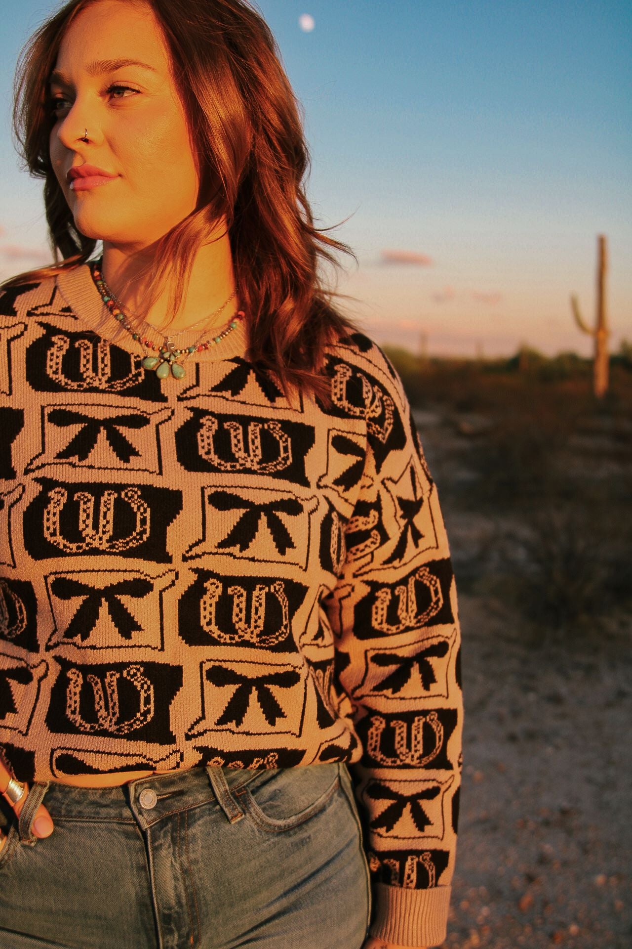 Horseshoes & Bows Sweater